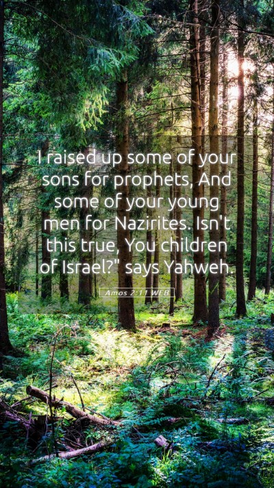 Picture 05 - Amos 2:11 WEB Mobile Phone Wallpaper - I raised up some of your sons for prophets, And - Mobile Bible Verse Wallpaper