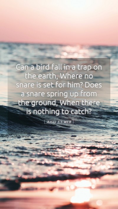 Picture 05 - Amos 3:5 WEB Mobile Phone Wallpaper - Can a bird fall in a trap on the earth, Where no - Mobile Bible Verse Wallpaper