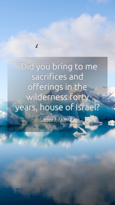 Picture 05 - Amos 5:25 WEB Mobile Phone Wallpaper - 