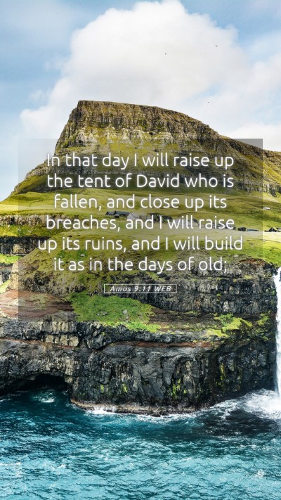 Picture 05 - Amos 9:11 WEB Mobile Phone Wallpaper - In that day I will raise up the tent of David who - Mobile Bible Verse Wallpaper