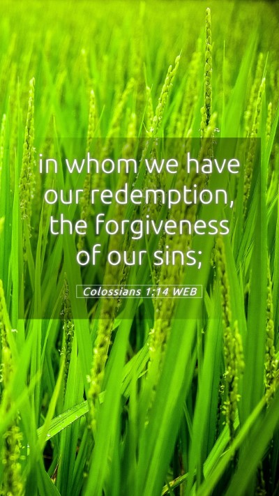 Picture 05 - Colossians 1:14 WEB Mobile Phone Wallpaper - in whom we have our redemption, the forgiveness - Mobile Bible Verse Wallpaper