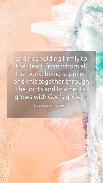 Picture 05 - Colossians 2:19 WEB Mobile Phone Wallpaper - and not holding firmly to the Head, from whom all - Mobile Bible Verse Wallpaper