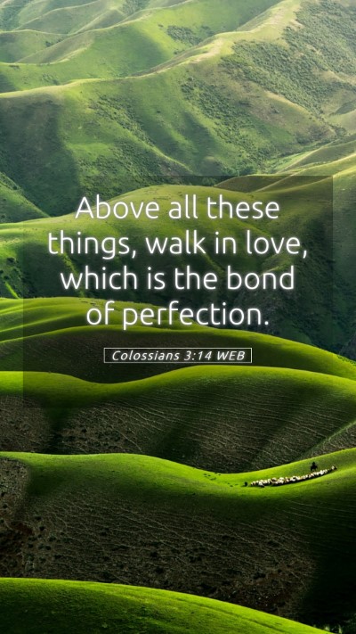 Picture 05 - Colossians 3:14 WEB Mobile Phone Wallpaper - Above all these things, walk in love, which is - Mobile Bible Verse Wallpaper