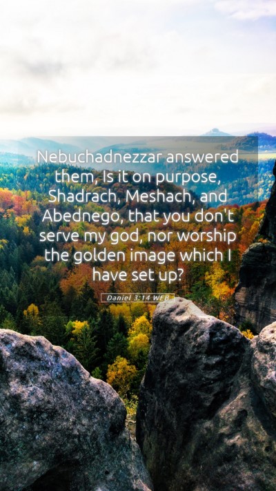 Picture 05 - Daniel 3:14 WEB Mobile Phone Wallpaper - Nebuchadnezzar answered them, Is it on purpose, - Mobile Bible Verse Wallpaper