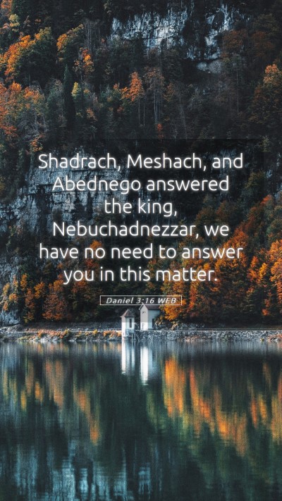 Picture 05 - Daniel 3:16 WEB Mobile Phone Wallpaper - Shadrach, Meshach, and Abednego answered the - Mobile Bible Verse Wallpaper