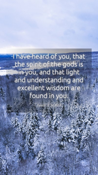 Picture 05 - Daniel 5:14 WEB Mobile Phone Wallpaper - I have heard of you, that the spirit of the gods - Mobile Bible Verse Wallpaper