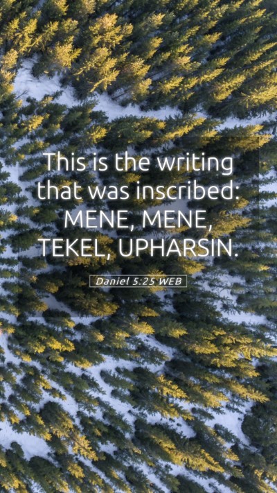 Picture 05 - Daniel 5:25 WEB Mobile Phone Wallpaper - This is the writing that was inscribed: MENE, - Mobile Bible Verse Wallpaper