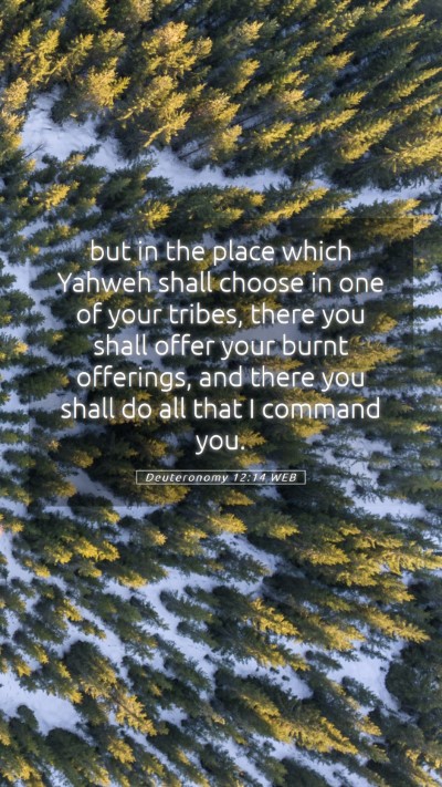 Picture 05 - Deuteronomy 12:14 WEB Mobile Phone Wallpaper - but in the place which Yahweh shall choose in one - Mobile Bible Verse Wallpaper