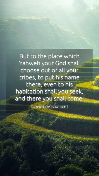Picture 05 - Deuteronomy 12:5 WEB Mobile Phone Wallpaper - But to the place which Yahweh your God shall - Mobile Bible Verse Wallpaper