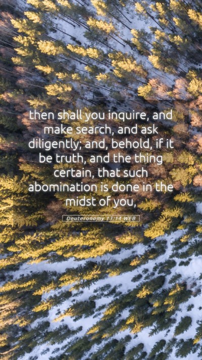 Picture 05 - Deuteronomy 13:14 WEB Mobile Phone Wallpaper - then shall you inquire, and make search, and ask - Mobile Bible Verse Wallpaper