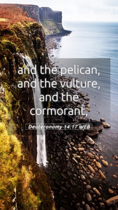 Picture 05 - Deuteronomy 14:17 WEB Mobile Phone Wallpaper - and the pelican, and the vulture, and the - Mobile Bible Verse Wallpaper
