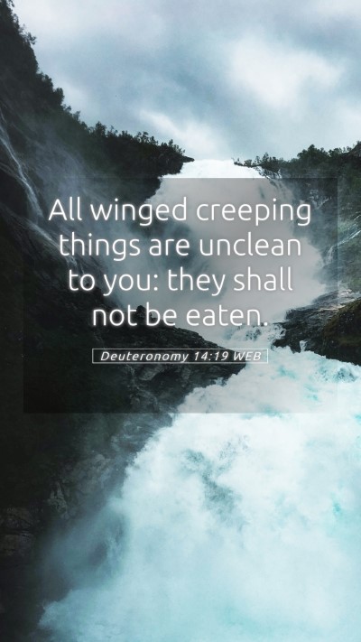 Picture 05 - Deuteronomy 14:19 WEB Mobile Phone Wallpaper - All winged creeping things are unclean to you: - Mobile Bible Verse Wallpaper