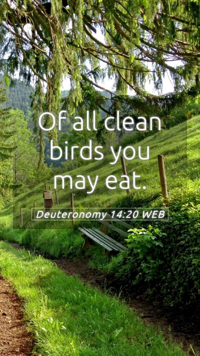 Picture 05 - Deuteronomy 14:20 WEB Mobile Phone Wallpaper - Of all clean birds you may - Mobile Bible Verse Wallpaper