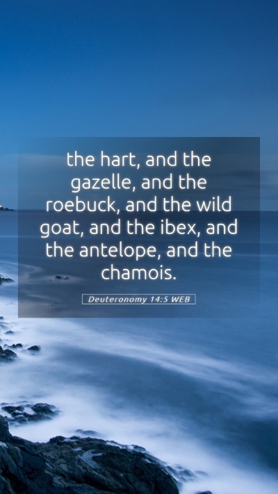 Picture 05 - Deuteronomy 14:5 WEB Mobile Phone Wallpaper - the hart, and the gazelle, and the roebuck, and - Mobile Bible Verse Wallpaper