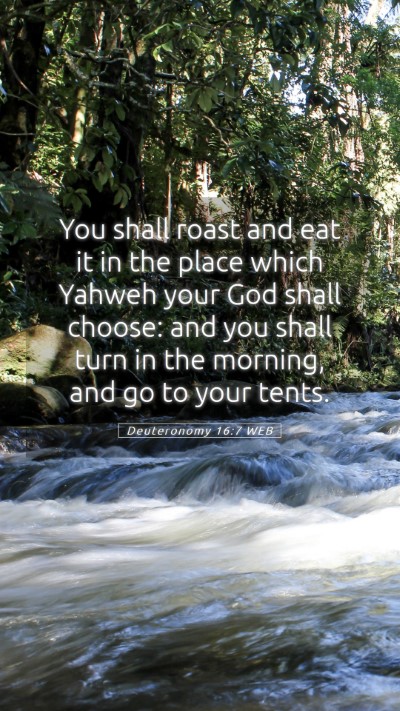 Picture 05 - Deuteronomy 16:7 WEB Mobile Phone Wallpaper - You shall roast and eat it in the place which - Mobile Bible Verse Wallpaper
