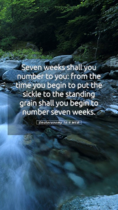 Picture 05 - Deuteronomy 16:9 WEB Mobile Phone Wallpaper - Seven weeks shall you number to you: from the - Mobile Bible Verse Wallpaper