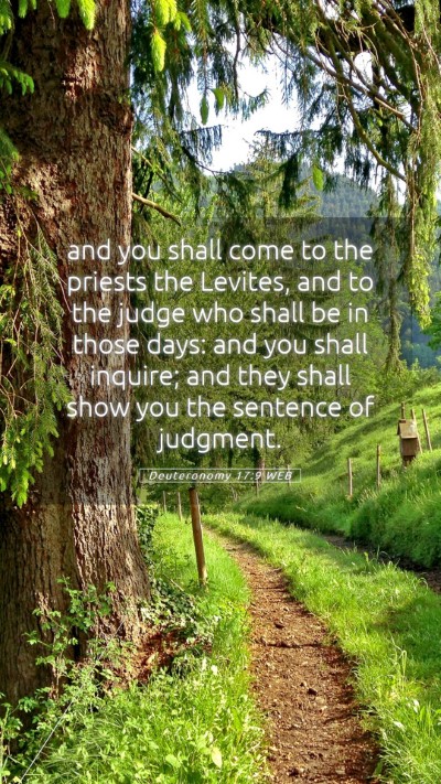 Picture 05 - Deuteronomy 17:9 WEB Mobile Phone Wallpaper - and you shall come to the priests the Levites, - Mobile Bible Verse Wallpaper