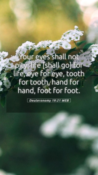Picture 05 - Deuteronomy 19:21 WEB Mobile Phone Wallpaper - Your eyes shall not pity; life [shall go] for - Mobile Bible Verse Wallpaper