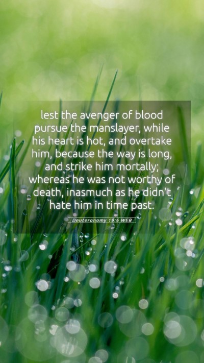 Picture 05 - Deuteronomy 19:6 WEB Mobile Phone Wallpaper - lest the avenger of blood pursue the manslayer, - Mobile Bible Verse Wallpaper