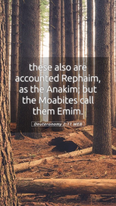 Picture 05 - Deuteronomy 2:11 WEB Mobile Phone Wallpaper - these also are accounted Rephaim, as the Anakim; - Mobile Bible Verse Wallpaper