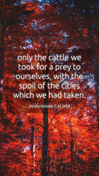 Picture 05 - Deuteronomy 2:35 WEB Mobile Phone Wallpaper - only the cattle we took for a prey to ourselves, - Mobile Bible Verse Wallpaper
