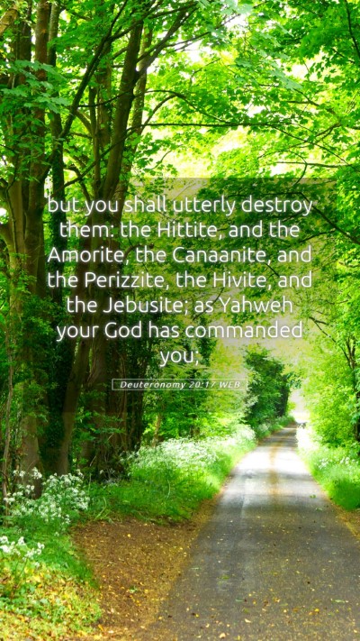 Picture 05 - Deuteronomy 20:17 WEB Mobile Phone Wallpaper - but you shall utterly destroy them: the Hittite, - Mobile Bible Verse Wallpaper