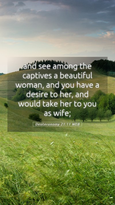 Picture 05 - Deuteronomy 21:11 WEB Mobile Phone Wallpaper - and see among the captives a beautiful woman, and - Mobile Bible Verse Wallpaper