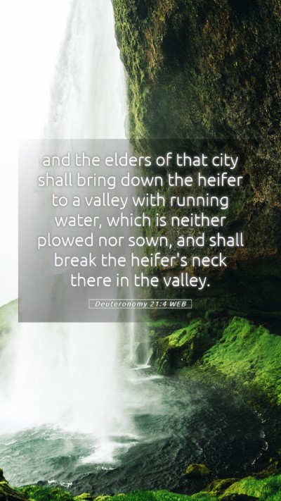 Picture 05 - Deuteronomy 21:4 WEB Mobile Phone Wallpaper - and the elders of that city shall bring down the - Mobile Bible Verse Wallpaper