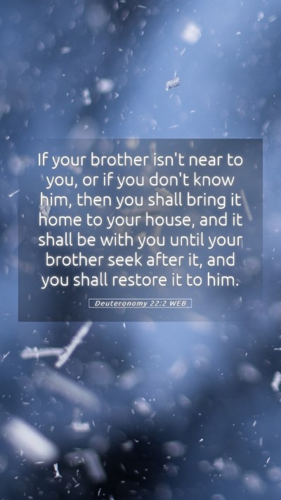 Picture 05 - Deuteronomy 22:2 WEB Mobile Phone Wallpaper - If your brother isn't near to you, or if you - Mobile Bible Verse Wallpaper