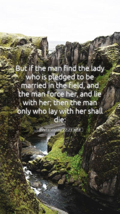 Picture 05 - Deuteronomy 22:25 WEB Mobile Phone Wallpaper - But if the man find the lady who is pledged to be - Mobile Bible Verse Wallpaper