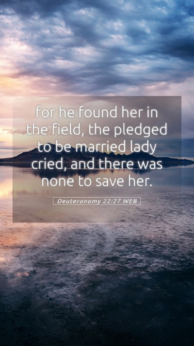 Picture 05 - Deuteronomy 22:27 WEB Mobile Phone Wallpaper - for he found her in the field, the pledged to be - Mobile Bible Verse Wallpaper