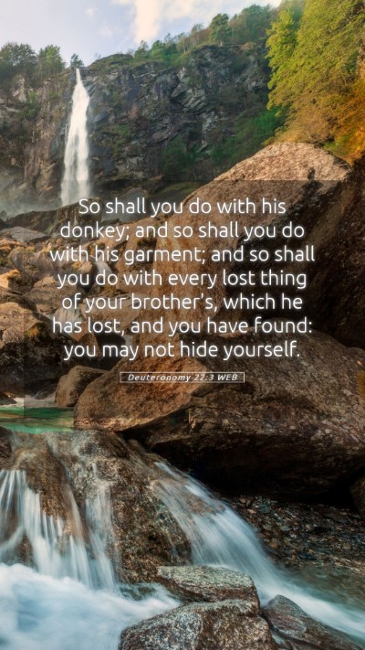 Picture 05 - Deuteronomy 22:3 WEB Mobile Phone Wallpaper - So shall you do with his donkey; and so shall you - Mobile Bible Verse Wallpaper