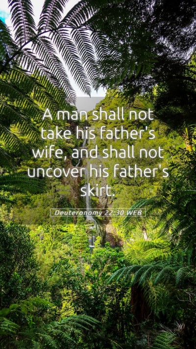 Picture 05 - Deuteronomy 22:30 WEB Mobile Phone Wallpaper - A man shall not take his father's wife, and shall - Mobile Bible Verse Wallpaper
