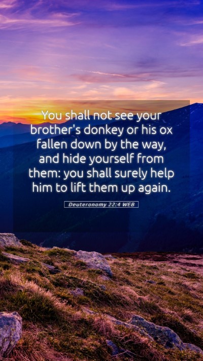 Picture 05 - Deuteronomy 22:4 WEB Mobile Phone Wallpaper - You shall not see your brother's donkey or his ox - Mobile Bible Verse Wallpaper