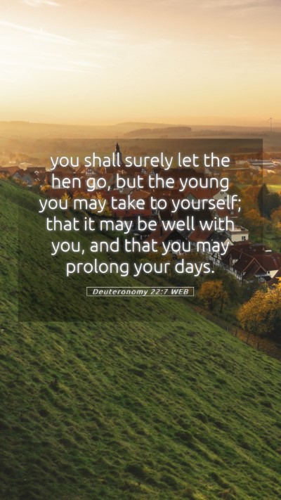 Picture 05 - Deuteronomy 22:7 WEB Mobile Phone Wallpaper - you shall surely let the hen go, but the young - Mobile Bible Verse Wallpaper