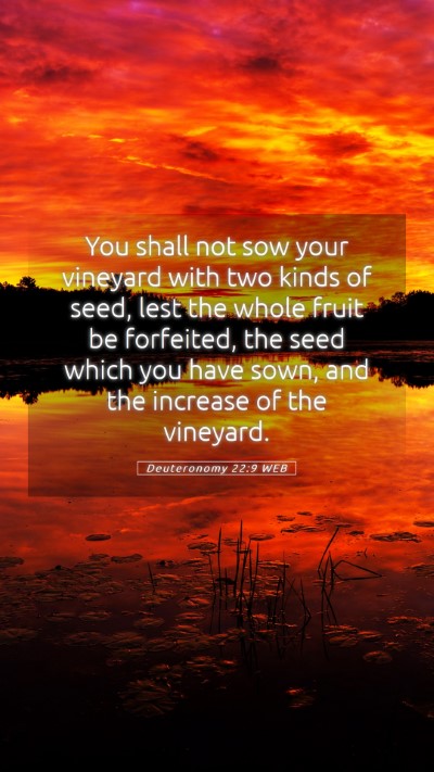 Picture 05 - Deuteronomy 22:9 WEB Mobile Phone Wallpaper - You shall not sow your vineyard with two kinds of - Mobile Bible Verse Wallpaper