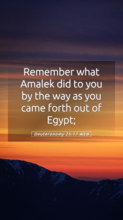 Picture 05 - Deuteronomy 25:17 WEB Mobile Phone Wallpaper - Remember what Amalek did to you by the way as you - Mobile Bible Verse Wallpaper
