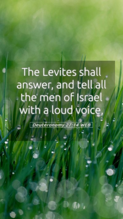 Picture 05 - Deuteronomy 27:14 WEB Mobile Phone Wallpaper - The Levites shall answer, and tell all the men of - Mobile Bible Verse Wallpaper