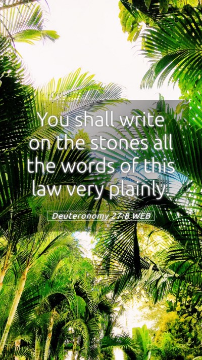 Picture 05 - Deuteronomy 27:8 WEB Mobile Phone Wallpaper - You shall write on the stones all the words of - Mobile Bible Verse Wallpaper
