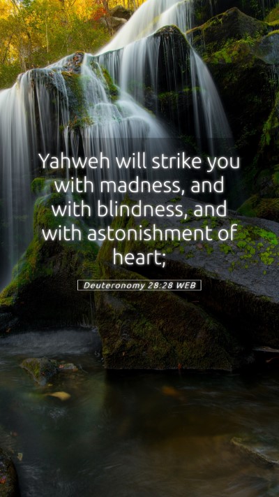 Picture 05 - Deuteronomy 28:28 WEB Mobile Phone Wallpaper - Yahweh will strike you with madness, and with - Mobile Bible Verse Wallpaper