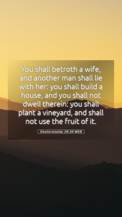 Picture 05 - Deuteronomy 28:30 WEB Mobile Phone Wallpaper - You shall betroth a wife, and another man shall - Mobile Bible Verse Wallpaper