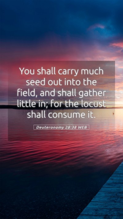 Picture 05 - Deuteronomy 28:38 WEB Mobile Phone Wallpaper - You shall carry much seed out into the field, and - Mobile Bible Verse Wallpaper