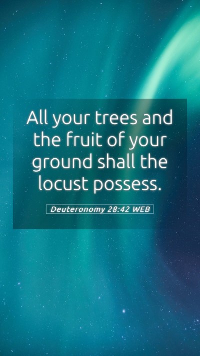 Picture 05 - Deuteronomy 28:42 WEB Mobile Phone Wallpaper - All your trees and the fruit of your ground shall - Mobile Bible Verse Wallpaper