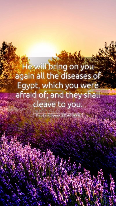 Picture 05 - Deuteronomy 28:60 WEB Mobile Phone Wallpaper - He will bring on you again all the diseases of - Mobile Bible Verse Wallpaper