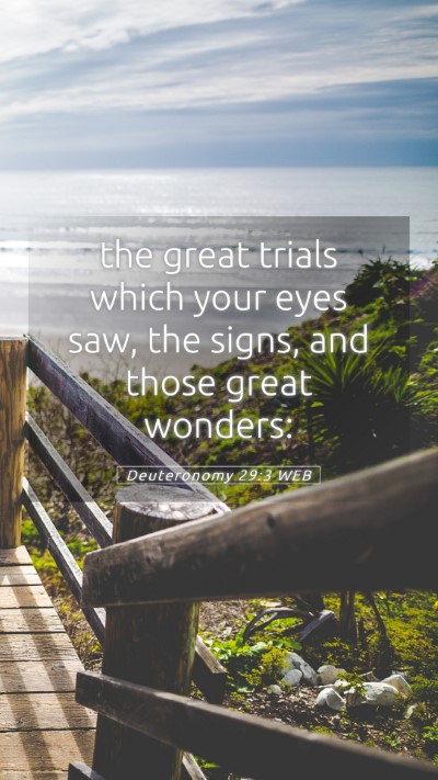 Picture 05 - Deuteronomy 29:3 WEB Mobile Phone Wallpaper - the great trials which your eyes saw, the signs, - Mobile Bible Verse Wallpaper