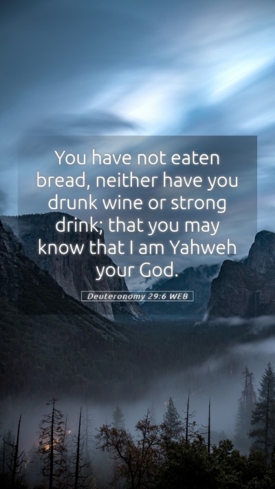 Picture 05 - Deuteronomy 29:6 WEB Mobile Phone Wallpaper - You have not eaten bread, neither have you drunk - Mobile Bible Verse Wallpaper