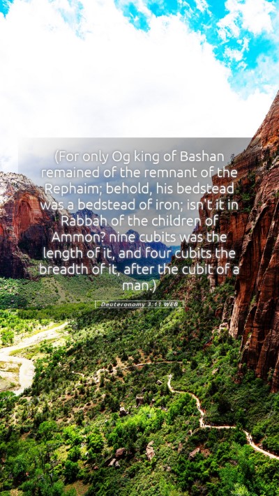 Picture 05 - Deuteronomy 3:11 WEB Mobile Phone Wallpaper - (For only Og king of Bashan remained of the - Mobile Bible Verse Wallpaper