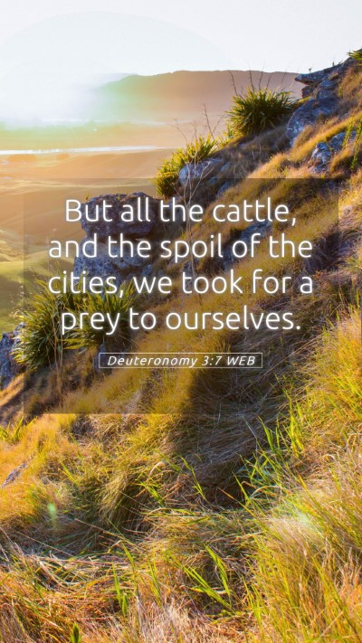 Picture 05 - Deuteronomy 3:7 WEB Mobile Phone Wallpaper - But all the cattle, and the spoil of the cities, - Mobile Bible Verse Wallpaper