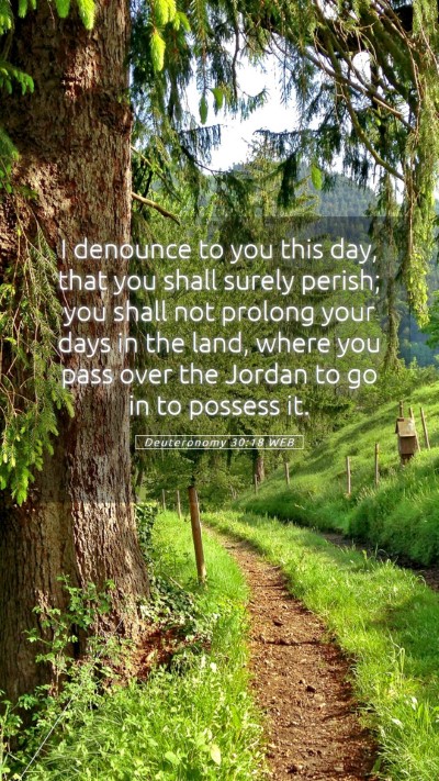 Picture 05 - Deuteronomy 30:18 WEB Mobile Phone Wallpaper - I denounce to you this day, that you shall surely - Mobile Bible Verse Wallpaper