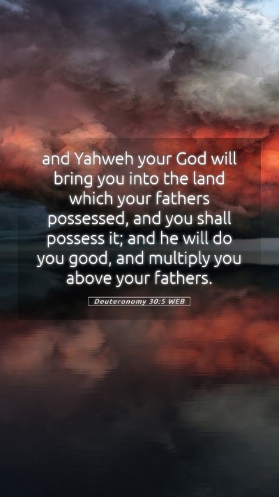 Picture 05 - Deuteronomy 30:5 WEB Mobile Phone Wallpaper - and Yahweh your God will bring you into the land - Mobile Bible Verse Wallpaper